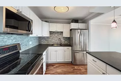 3930 N Pine Grove Avenue #3009, Chicago, IL 60613 - Photo 3