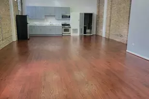 1341 N Washtenaw Ave, Chicago, IL 60622 - Photo 9