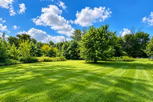 4708 Roslyn Rd, Downers Grove, IL 60515 - Photo 5