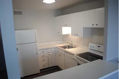 3930 N Pine Grove Avenue #2902, Chicago, IL 60613 - Photo 5