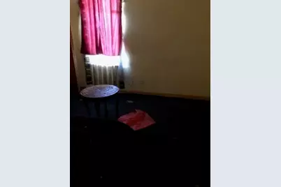 735 W 79th Street, Chicago, IL 60620 - Photo 21