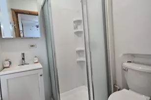 1736 W Beach Ave, Chicago, IL 60622 - Photo 9
