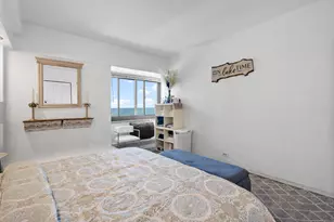 7337 S South Shore Dr, Chicago, IL 60649 - Photo 19