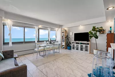 7337 S South Shore Drive #1419, Chicago, IL 60649 - Photo 13