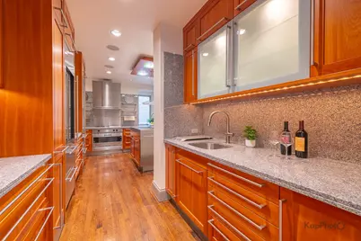 24 E Scott Street #2, Chicago, IL 60610 - Photo 9