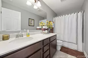 21318 Willow Pass, Shorewood, IL 60404 - Photo 13