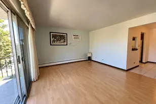 6119 Marshall Ave, Chicago Ridge, IL 60415 - Photo 3