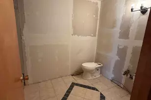 1617 W Douglas St, Joliet, IL 60435 - Photo 17