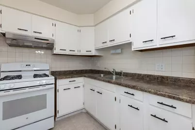 4624 N Commons Drive #303E, Chicago, IL 60656 - Photo 9