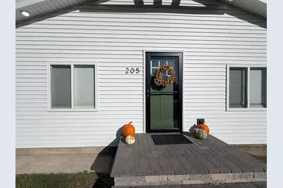 205 S Washington Street, Mansfield, IL 61854 - Photo 5