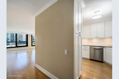 1030 N State Street #3J, Chicago, IL 60610 - Photo 3