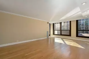 1030 N State St, Chicago, IL 60610 - Photo 5