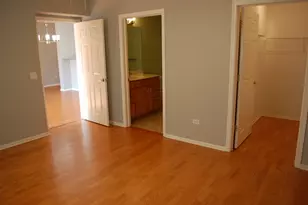 410 W Mahogany Ct, Palatine, IL 60067 - Photo 19