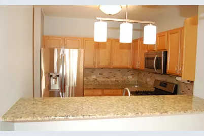 410 W Mahogany Court #503, Palatine, IL 60067 - Photo 5