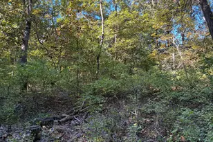 1903 Hickory Ln, Manito, IL 61546 - Photo 15