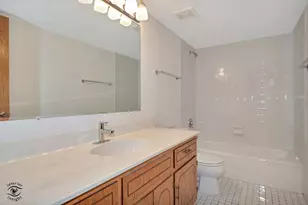 15713 Lake Hills Ct, Orland Park, IL 60462 - Photo 19