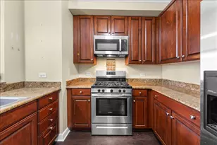 420 E Waterside Dr, Chicago, IL 60601 - Photo 7