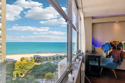1000 N Lake Shore Drive #1604, Chicago, IL 60611 - Photo 11