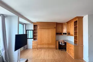 211 E Ohio St, Chicago, IL 60611 - Photo 5