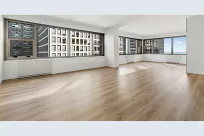 247 E Chestnut Street #1601, Chicago, IL 60611 - Photo 13