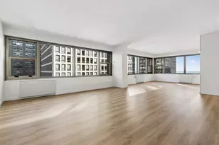 247 E Chestnut St, Chicago, IL 60611 - Photo 13