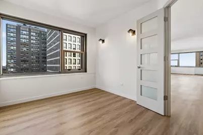 247 E Chestnut Street #1601, Chicago, IL 60611 - Photo 9