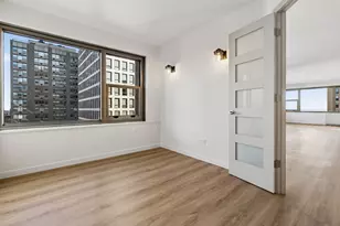 247 E Chestnut St, Chicago, IL 60611 - Photo 9