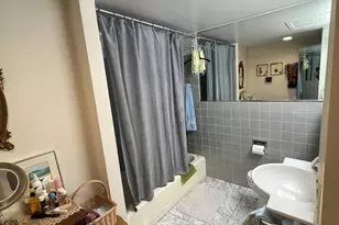 850 N Dewitt Pl, Chicago, IL 60611 - Photo 19