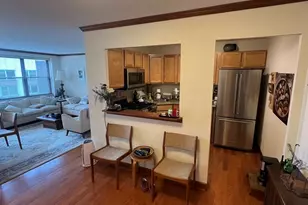 850 N Dewitt Pl, Chicago, IL 60611 - Photo 3