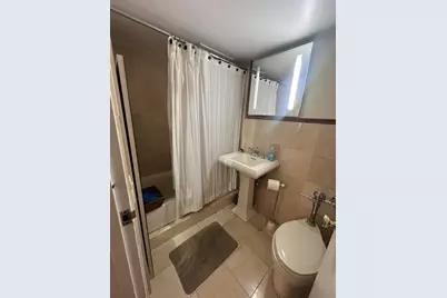 850 N Dewitt Place #21CE, Chicago, IL 60611 - Photo 13