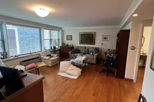 850 N Dewitt Pl, Chicago, IL 60611 - Photo 11