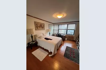 850 N Dewitt Place #21CE, Chicago, IL 60611 - Photo 15