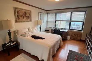 850 N Dewitt Pl, Chicago, IL 60611 - Photo 15