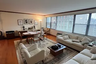 850 N Dewitt Pl, Chicago, IL 60611 - Photo 9