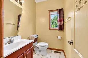 21176 Lisa Ln, Steger, IL 60475 - Photo 25