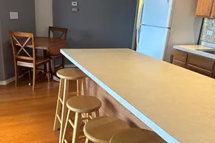 1525 S Sangamon St, Chicago, IL 60608 - Photo 11