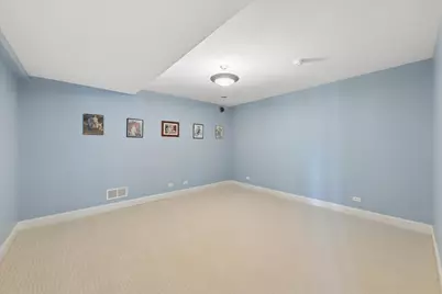 25860 Prairie Hill Lane, Plainfield, IL 60585 - Photo 33