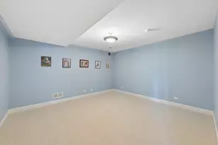 25860 Prairie Hill Ln, Plainfield, IL 60585 - Photo 33