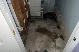 852 E 88th St, Chicago, IL 60619 - Photo 37
