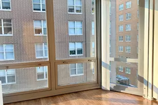 21 W Goethe St, Chicago, IL 60610 - Photo 5