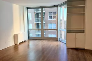 21 W Goethe St, Chicago, IL 60610 - Photo 3