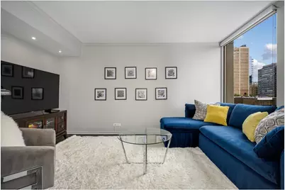 100 E Bellevue Place #6A, Chicago, IL 60611 - Photo 9