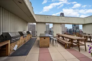 100 E Bellevue Pl, Chicago, IL 60611 - Photo 19