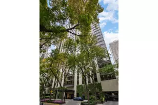 100 E Bellevue Pl, Chicago, IL 60611 - Photo 1
