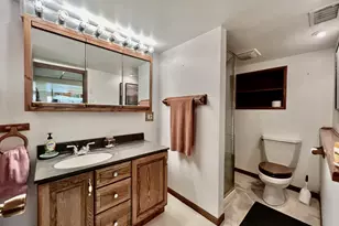 10206 S Fairfield Ave, Chicago, IL 60655 - Photo 17