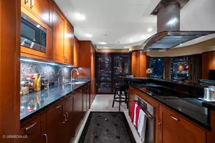 111 W Maple St, Chicago, IL 60610 - Photo 59
