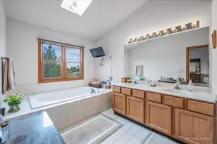 156 Spring N Ct, Carpentersville, IL 60110 - Photo 19