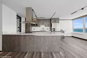 4800 S Chicago Beach Dr, Chicago, IL 60615 - Photo 9
