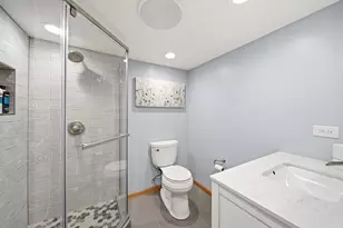 11001 S Albany Ave, Chicago, IL 60655 - Photo 25