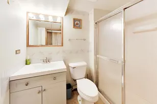 1000 E Ardyce Ln, Mount Prospect, IL 60056 - Photo 25